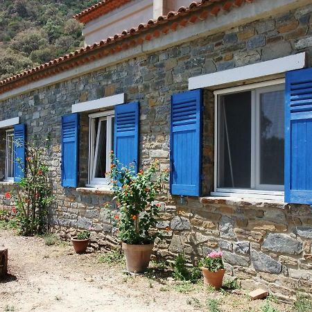Lou Pastourel Villa Le Lavandou Exterior photo